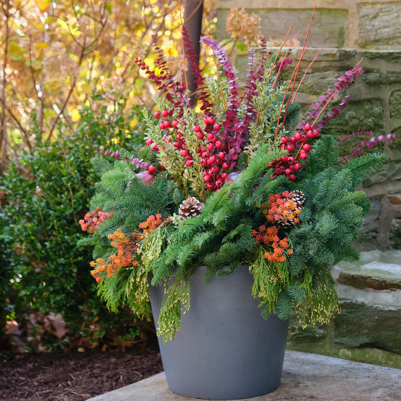 Winter Planter Kit
