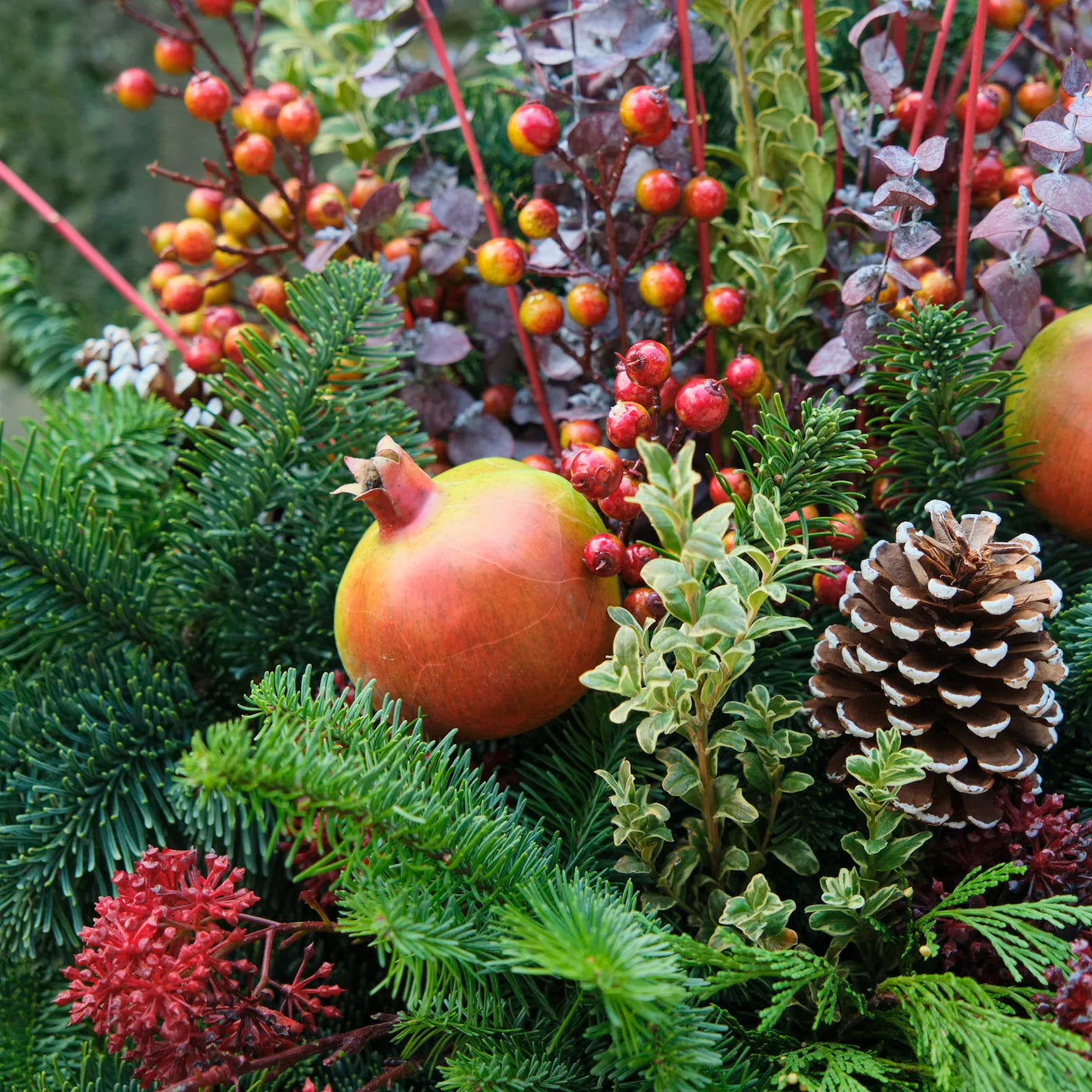 Winter Planter Kit