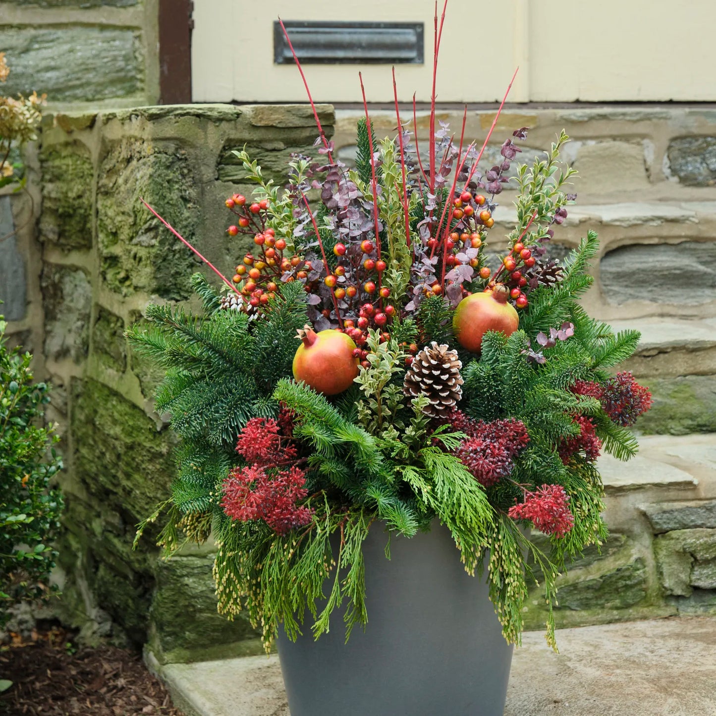 Winter Planter Kit 'Orchard Frost'