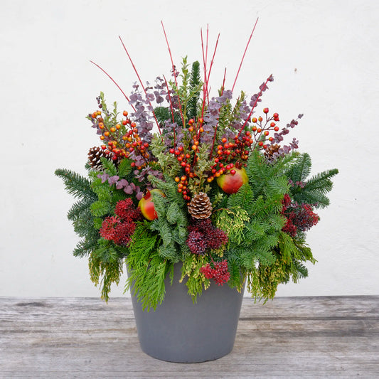 Winter Planter Kit 'Orchard Frost'